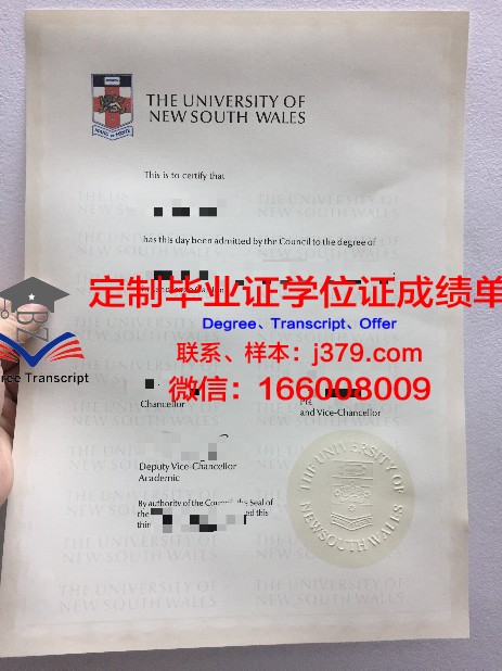 日内瓦高级国际关系学院毕业证学位文凭学历Diploma