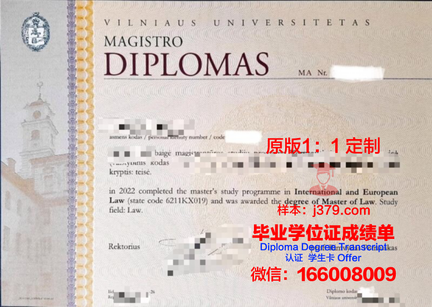 维尔纽斯大学毕业证：开启国际认可的学术之旅