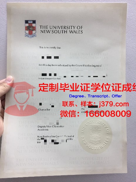 锡根大学毕业证(德国锡根大学回国就业)