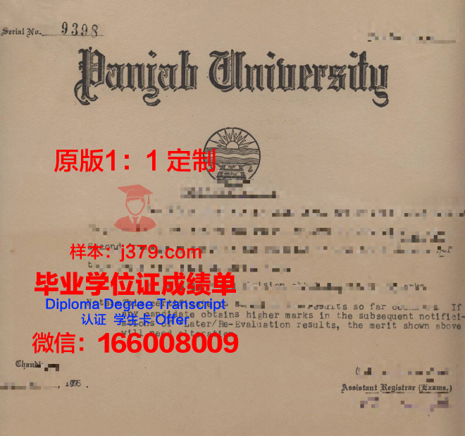 旁遮普技术大学毕业证是什么样子(旁遮普大学怎么样)