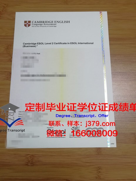 安纳马莱大学毕业证书图片模板