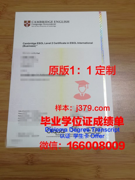 维罗纳大学毕业证书(维罗纳大学毕业证书怎么拿)