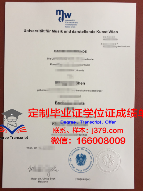 维也纳应用艺术大学毕业证书什么颜色(维也纳艺术学院英语)