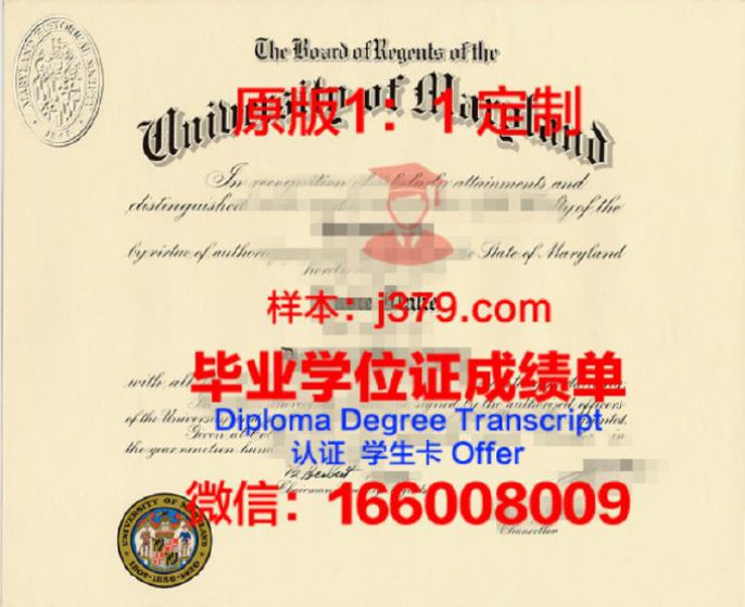 马里兰大学巴尔的摩分校毕业证Diploma文凭