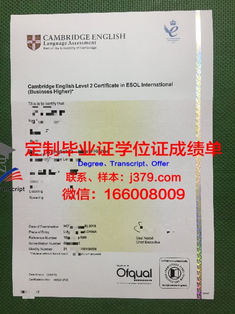 维罗纳大学毕业证书(维罗纳大学毕业证书怎么拿)