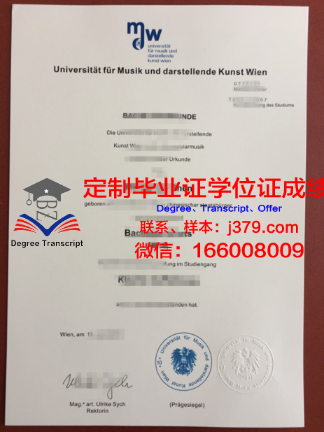 维也纳音乐与艺术市立大学成绩单(维也纳音乐与艺术私立大学)