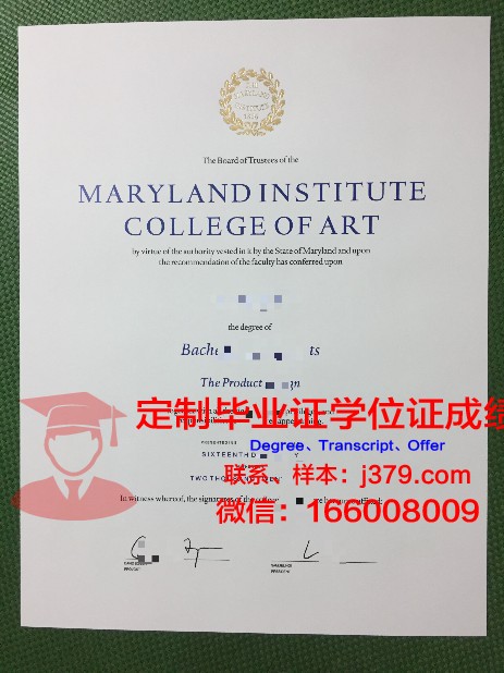安纳西高等艺术学院成绩单:艺术教育的璀璨明珠