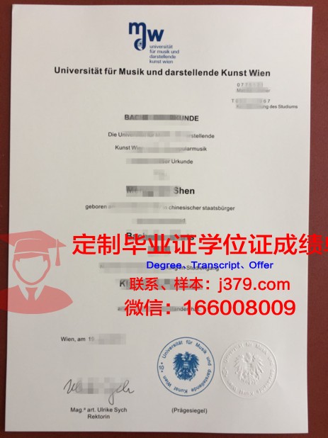 维也纳技术大学本科毕业证(维也纳大学本科申请条件)