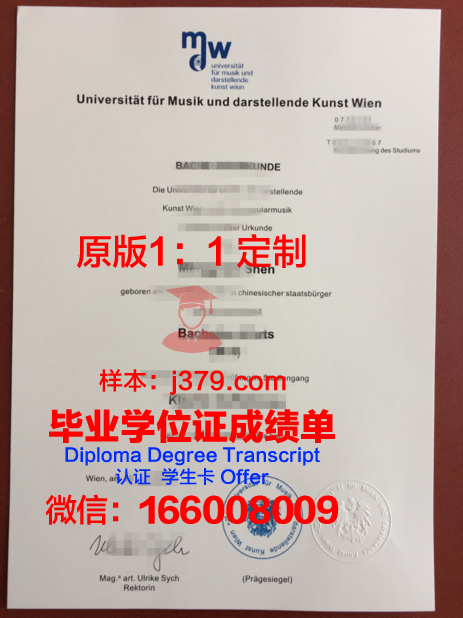 维也纳工业大学毕业证书什么颜色(维也纳工学院)