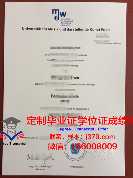 维也纳应用艺术大学毕业证：一份跨越时空的荣誉证书