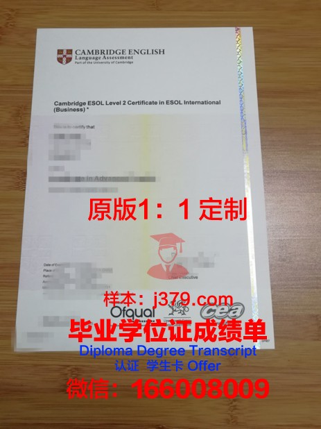 密什科尔茨大学毕业证书图片(密尔克卫奖学金)