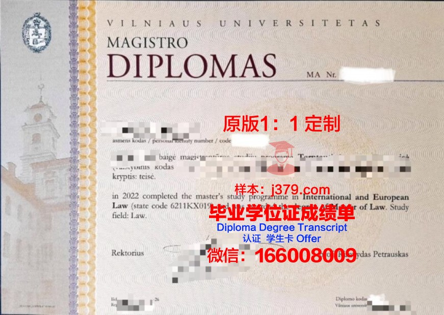 维尔纽斯工业大学毕业证:一张开启未来的通行证
