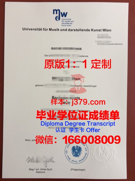 维也纳应用艺术大学毕业证书什么颜色(维也纳艺术学院英语)