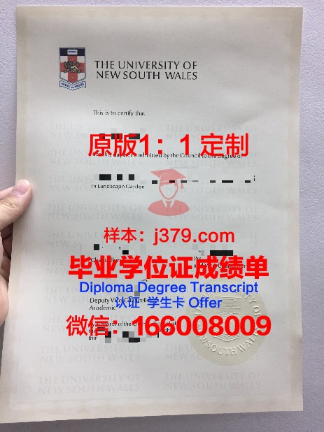 安汉比莫隆比大学毕业证外壳