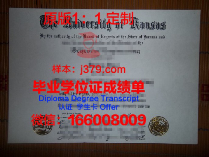 达拉斯浸会大学毕业证模板 Dallas Baptist University Diploma