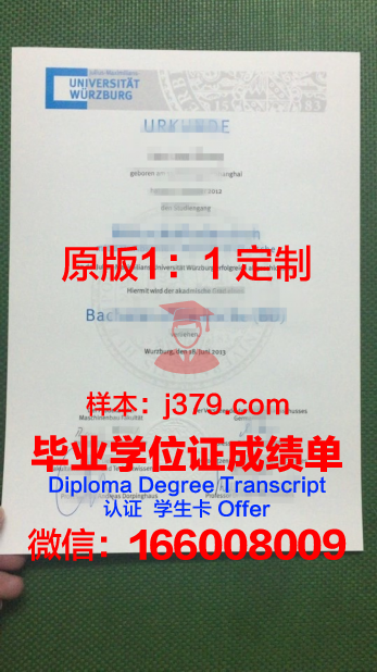 维尔茨堡大学 diploma 毕业证