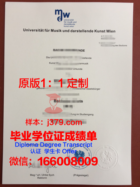 维也纳技术大学的毕业证啥样(维也纳大学什么专业好)