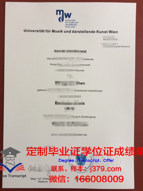 维也纳模都尔大学毕业证书图片(维也纳学院落榜生)