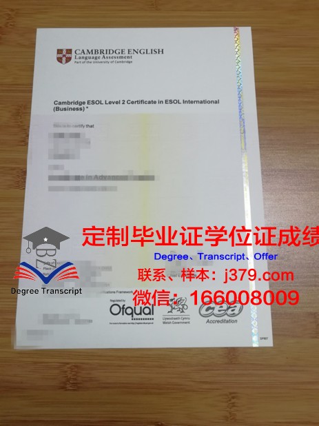 彭世洛大学diploma证书(彭世洛国)