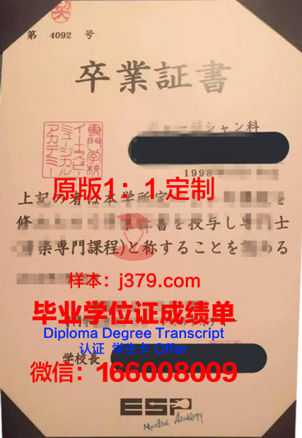 日中文化艺术专门学校毕业证外壳(日中文化艺术学院)