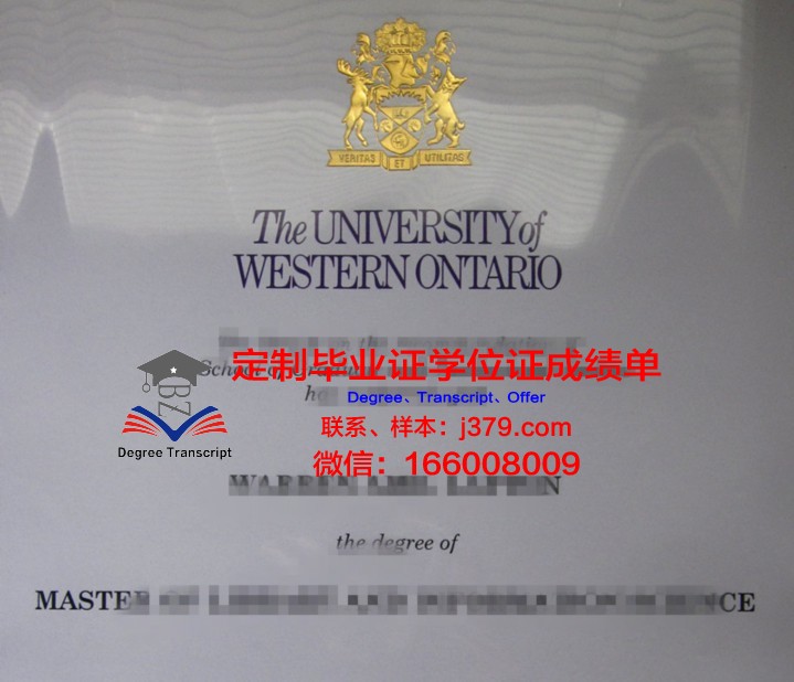 金迪奥大学文凭(金迪奥门窗质量怎么样)