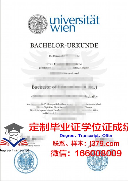 维戈大学毕业证书模板(维也纳大学毕业证书)