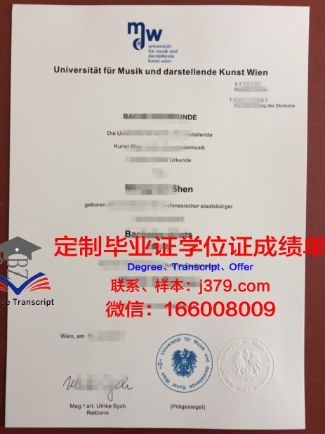 维也纳技术大学的毕业证啥样(维也纳大学什么专业好)