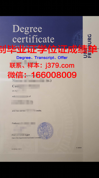 弗莱堡大学毕业证是什么模样(弗莱堡大学毕业证是什么模样图片)