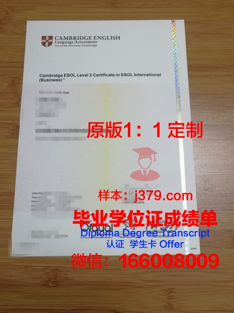 室利克里什纳大学：毕业证书的价值与意义