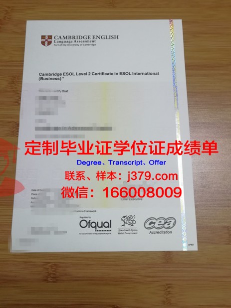 锡根大学毕业证书模板(锡根大学毕业证书模板)