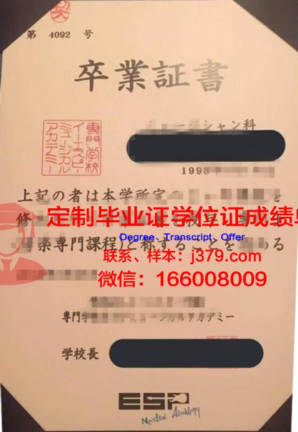 日中文化艺术专门学校毕业证外壳(日中文化艺术学院)