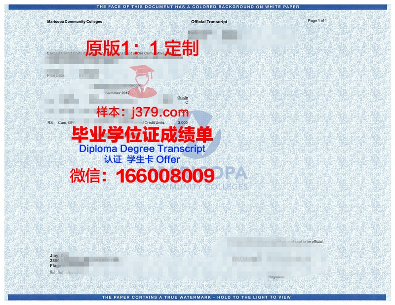 SRTU成绩单:记录成长足迹,见证辉煌历程