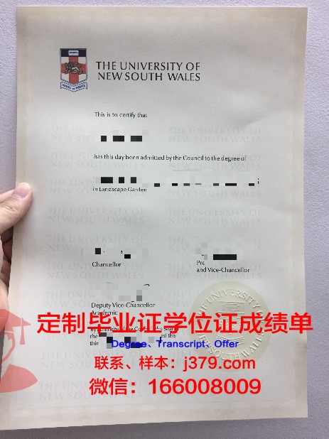 维特博大学diploma证书(维特尔波大学)