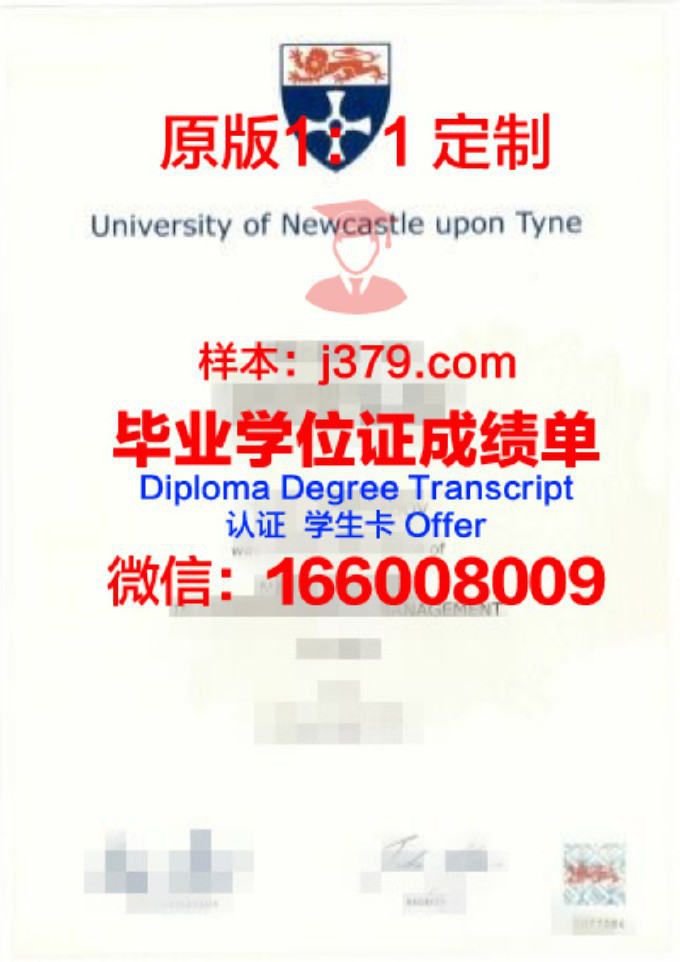 纽卡斯尔大学毕业证好找工作吗(纽卡斯尔大学本科毕业率)